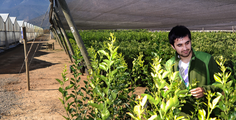 Magíster en Ciencias Agronómicas y Ambientales