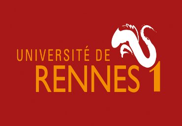 Instituto de Química desarrolla fructífera cooperación internacional con la Universidad de Rennes - Foto 1