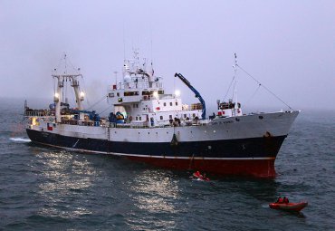 Ciencias del Mar: Profesor Patricio Arana lidera novedosa investigación en la Antártica - Foto 2