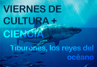 Charla: “Tiburones, los reyes del océano”