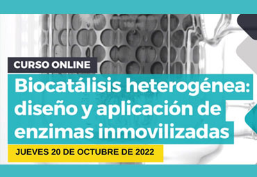 Tercera sesión Curso online "Biocatálisis Heterogénea" PUCV