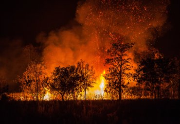 Académicos PUCV: “En Chile no existe política de prevención contra incendios forestales”