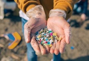 Investigación demuestra que microplásticos se acumulan en bahía porteña desde hace 80 años