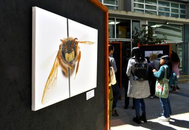 Instituto de Biología celebra aniversario con una exposición