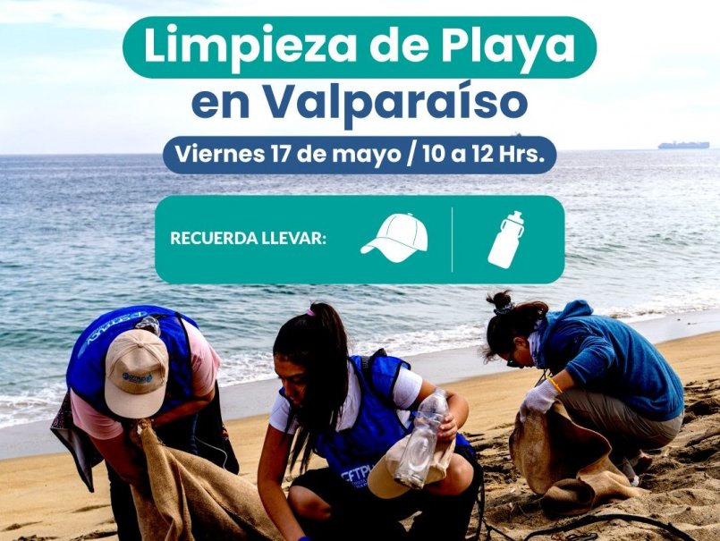 PUCV realizará jornada de limpieza en Playa Las Torpederas