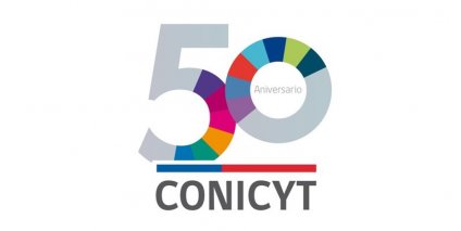 Profesor Charney se adjudica proyecto CONICYT de Apoyo a la Formación de Redes Internacionales para Investigadores