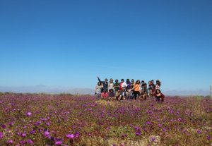 Estudiantes del Instituto de Geografía analizaron especies del desierto florido