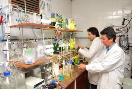School of Biochemical Engineering
