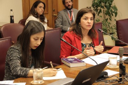 Profesora Fabiola Girão expone en Comisión Especial del Senado