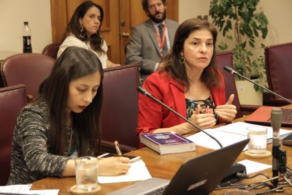 Profesora Fabiola Girão expone en Comisión Especial del Senado