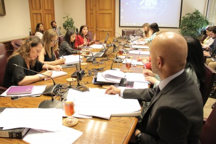 Profesora Fabiola Girão expone en Comisión Especial del Senado