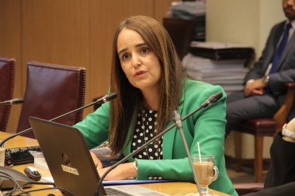 Profesora Alejandra Illanes expone en Comisión de Constitución del Senado