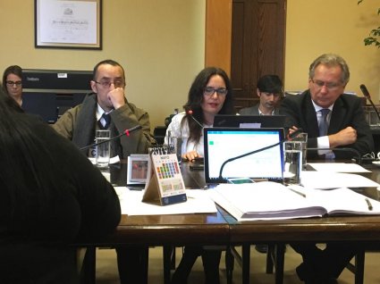 Profesora Andrea Montecinos expone en Comisión de Derechos Humanos y Pueblos Originarios de la Cámara de Diputados