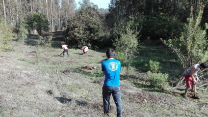 Programa de reforestación en parque CRUV