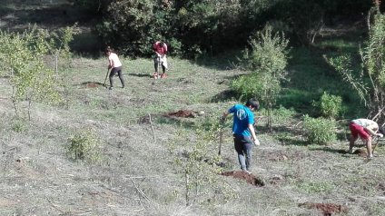Programa de reforestación en parque CRUV