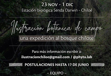 Convocatoria abierta para la quinta versión del curso "Ilustración botánica de campo, una expedición al bosque chilote"
