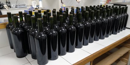 Ex alumnos de Agronomía elaboran vino con la primera cosecha proveniente de la Estación Experimental