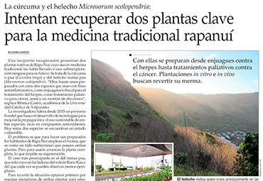 Diario El Mercurio publica artículo sobre proyecto en Isla de Pascua liderado por la profesora Mónica Castro