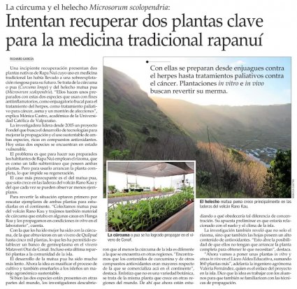 Diario El Mercurio publica artículo sobre proyecto en Isla de Pascua liderado por la profesora Mónica Castro