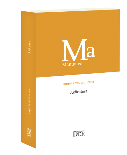Profesor Jorge Larroucau publica libro "Judicatura"