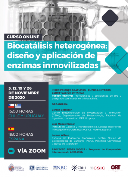 Curso Online "Biocatálisis heterogénea: diseño y aplicación de enzimas inmovilizadas"