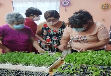 Escuela de Agronomía dona plantines para abastecer huertos comunitarios de Santa María atendidos por FUSUPO