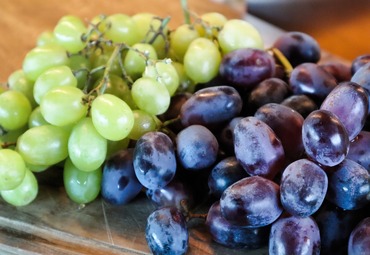 PUCV, Anasac y HubTec Chile firman Contrato de Codesarrollo para continuar procesos de I+D de biofungicida que controla pudrición gris y ácida en pre y post cosecha de uva de mesa