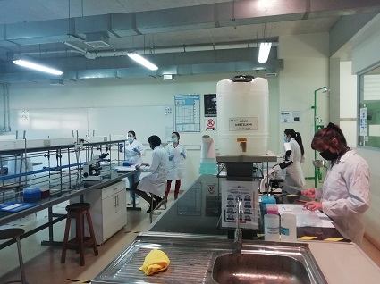 Alumnos del Instituto de Química realizaron actividad práctica presencial en la Facultad de Ciencias