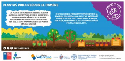 Nuevo contenido científico sobre sanidad vegetal llega a Metro Valparaíso