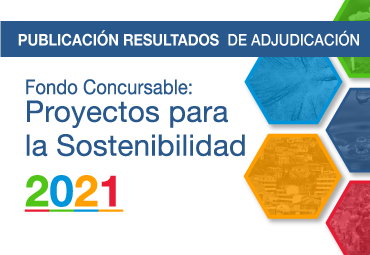 Dirección General de Vinculación con el Medio adjudica Fondo Concursable “Proyectos para la Sostenibilidad” 2021