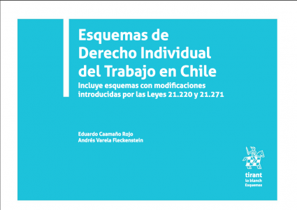 Profesor Eduardo Caamaño publica libro "Esquemas de Derecho individual del trabajo en Chile"