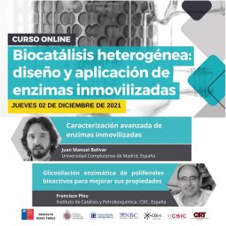 Curso online "Biocatálisis heterogénea: diseño y aplicación de enzimas inmovilizadas"