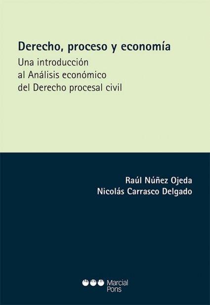 Profesor Raúl Núñez publica el libro "Derecho, proceso y economía. Una introducción al Análisis Económico del Derecho procesal civil"