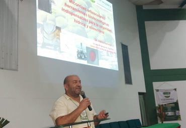 Importante participación de profesor Pablo Cornejo en evento internacional en Colombia