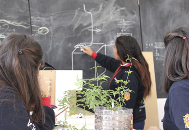 AlCubo trabajó con proyectos que abordaron temas ecológicos, sociales y tecnológicos