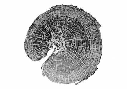 Dendrotypia, impresión de anillos de árboles.
