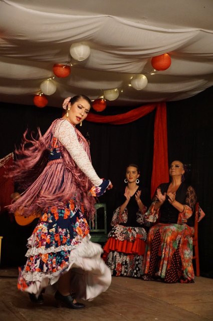 “Más arte, más cultura en tu campus” inaugura temporada 2024 con la fuerza del flamenco