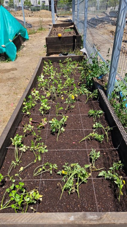 Profesora Joyce Maturana participó en actividad de Huerto Conciencia como parte de Oficinas Verdes, taller impulsado por PUCV Sostenible