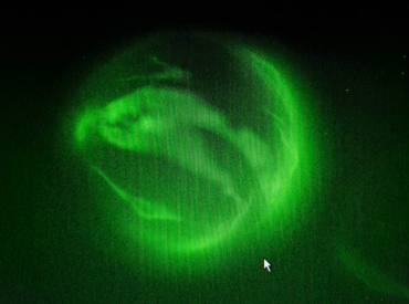 Investigación PUCV apuesta por cultivos 3D para revolucionar terapias regenerativas