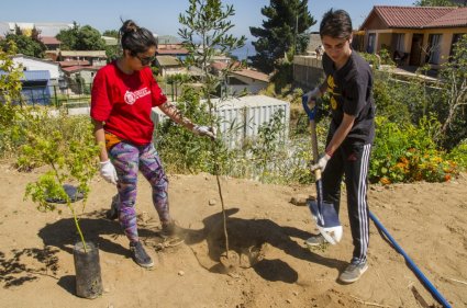 Estudiantes PUCV realizan voluntariado para la reforestación de Valparaíso - Foto 2