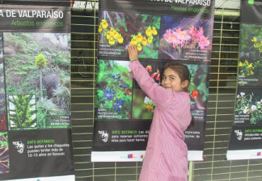 Llevando la ciencia a la comunidad: PUCV realiza muestras itinerantes en la región - Foto 3