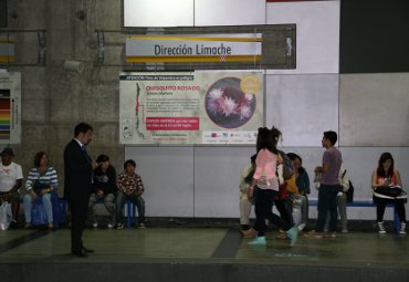 Llevando la ciencia a la comunidad: PUCV realiza muestras itinerantes en la región - Foto 2