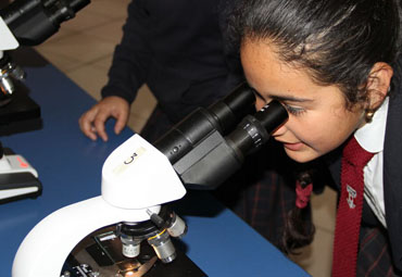 Comienza la XXII Semana Nacional de la Ciencia y la Tecnología en la Región de Valparaíso - Foto 2