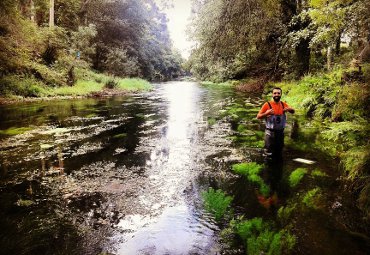 Postdoctorante desarrollará plan de vigilancia ambiental para cultivos de salmones