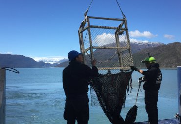 Investigadores PUCV desarrollan proyecto que busca caracterizar a invertebrados bentónicos de los glaciares - Foto 1