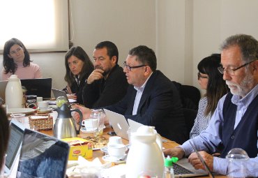 Vicerrectoría Académica se reúne con Jefes de Carrera por resultados de Evaluación Diagnóstica a estudiantes de primer año de carreras de Pedagogía - Foto 2