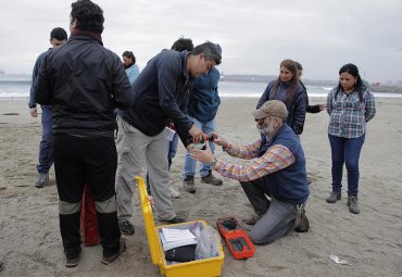 Profesionales de Chile, Perú, Ecuador y Colombia participaron de nueva versión del Diplomado en Tsunamis - Foto 1