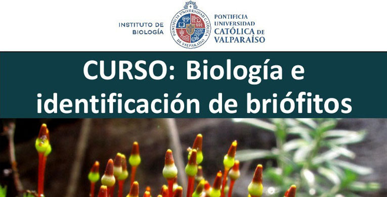 Curso Biología e Identificación de Briófitos