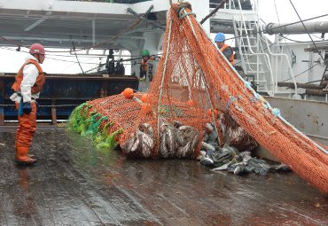 Investigador Patricio Arana participa en reuniones antárticas en el Reino Unido - Foto 2