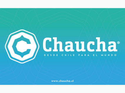 Chaucha, criptomoneda made in Chile - Foto 2